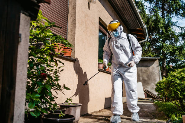 Best Emergency Pest Control  in Burien, WA