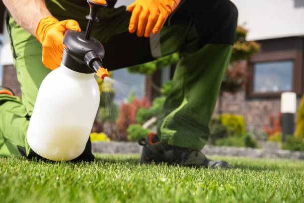 Reliable Burien, WA Pest Control Solutions