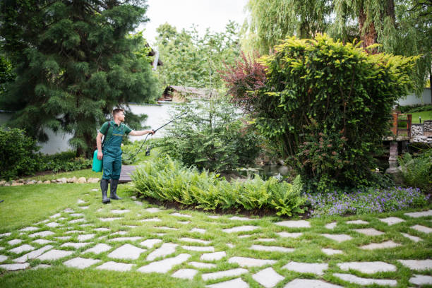 Best Flea Control Services  in Burien, WA