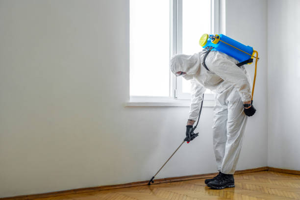 Best Best Pest Control Companies  in Burien, WA