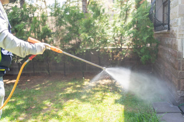 Best Best Pest Control Companies  in Burien, WA