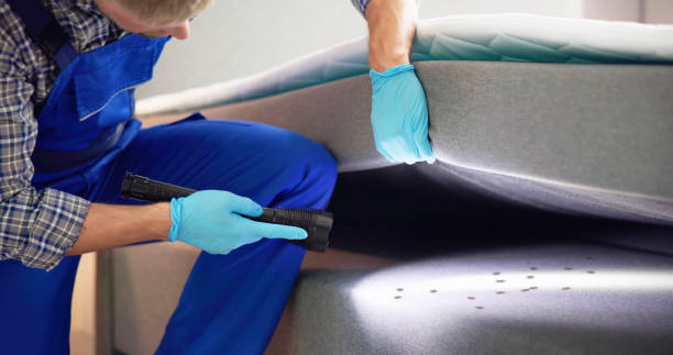 Best Insect Control  in Burien, WA
