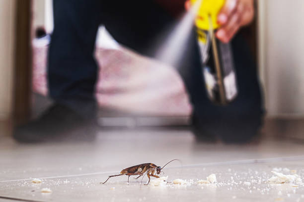 Best Best Pest Control Companies  in Burien, WA