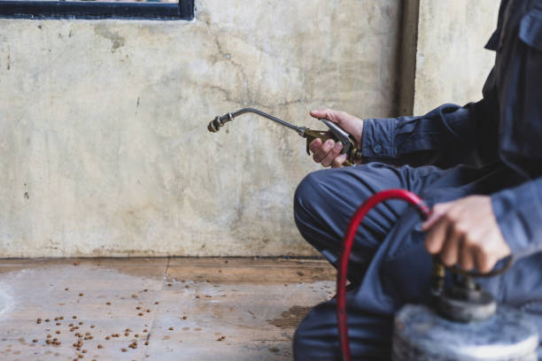 Best Affordable Pest Control Services  in Burien, WA